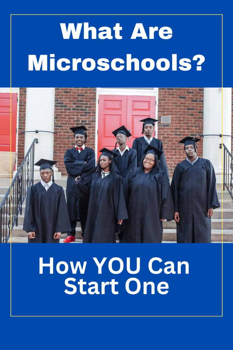 What are Microschools What are microschools