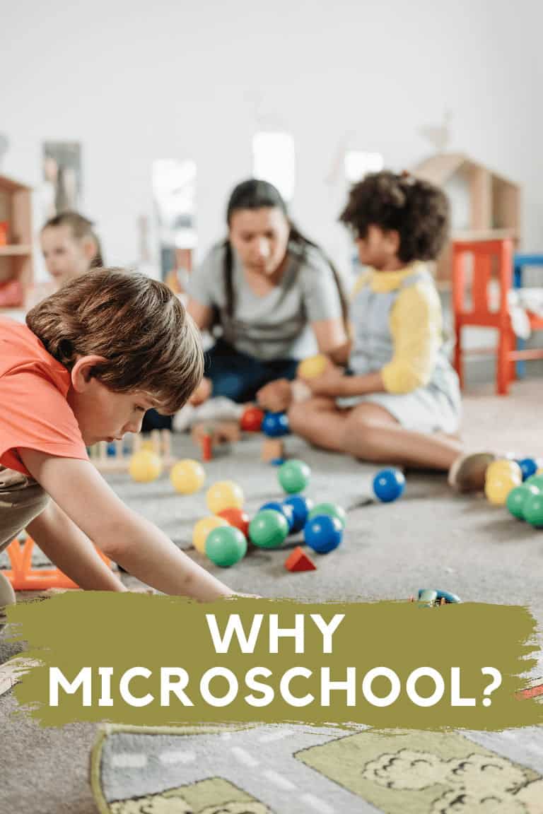 Microschooling: Innovative Educational Options for Parents