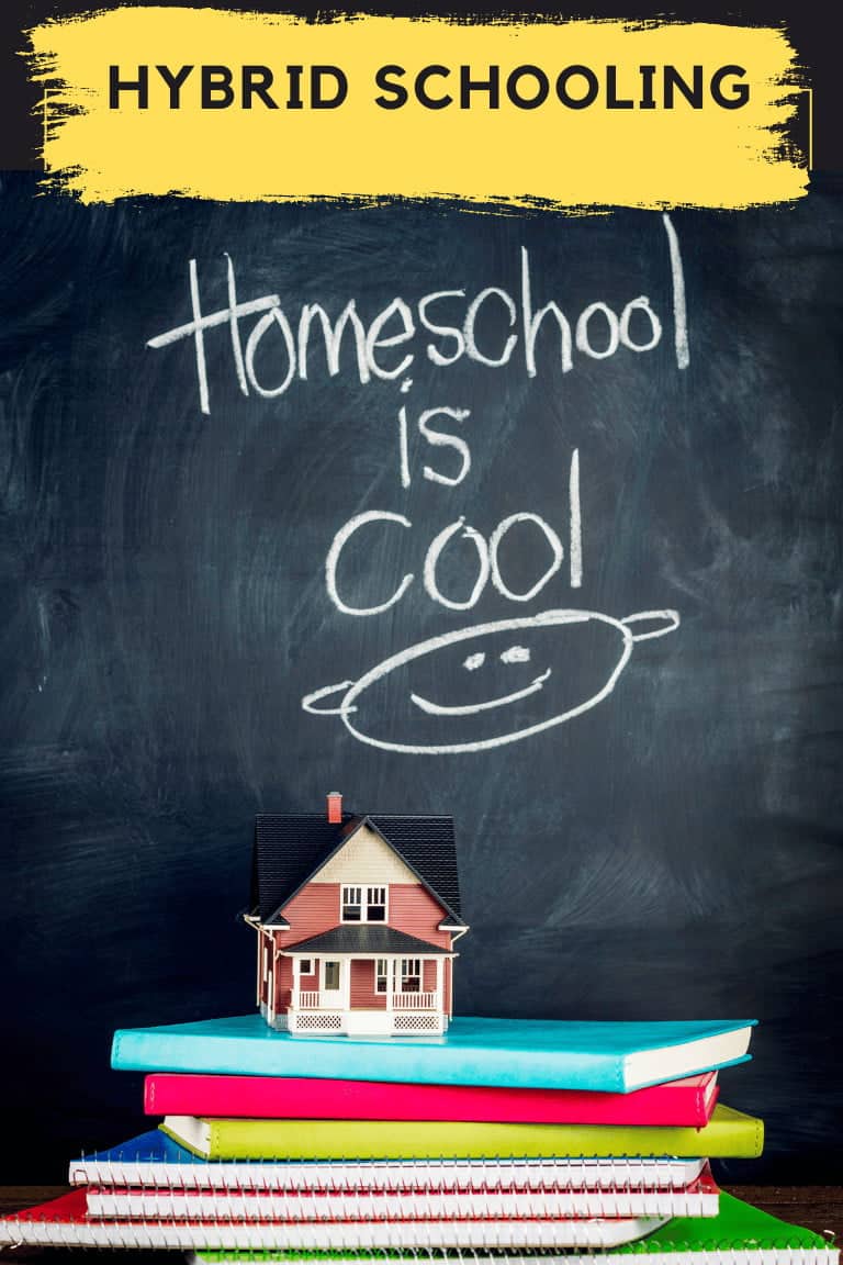 Hybrid Schooling Hybrid Schooling